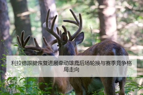 利拉德跟腱恢复进展牵动雄鹿后场轮换与赛季竞争格局走向