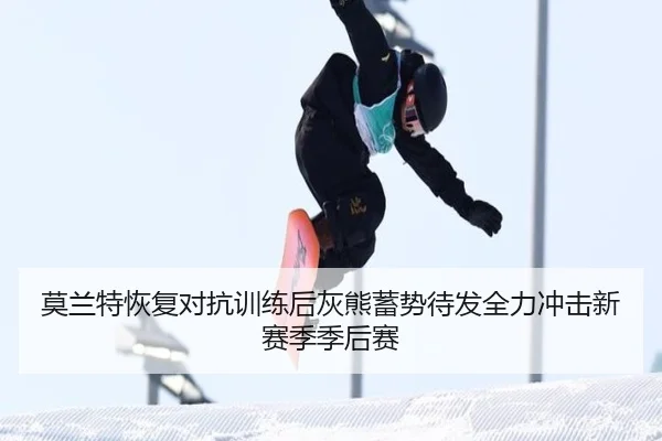 img_1783677564846_369_1_555.jpg